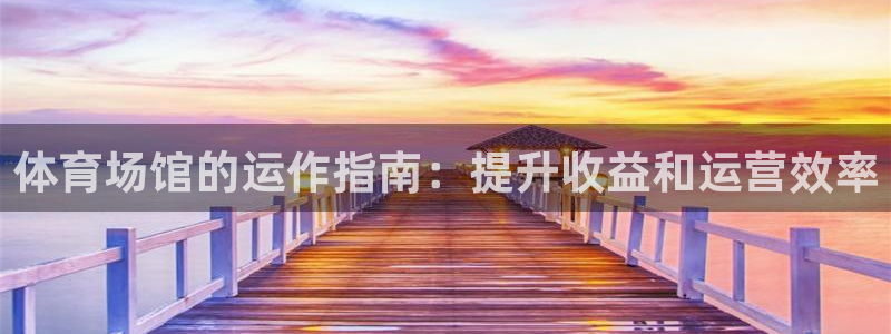 Bsport体育app必一