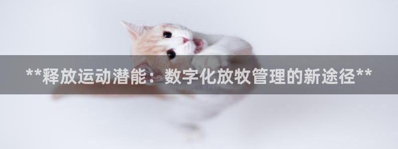 必一体育官网网站