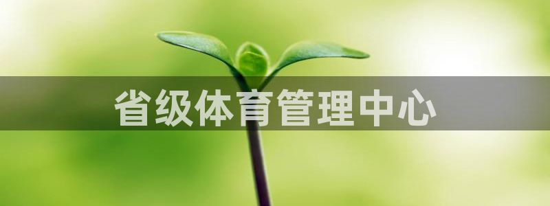 必一体育运动下载：省