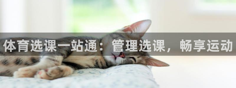 必一体育网页：体育选