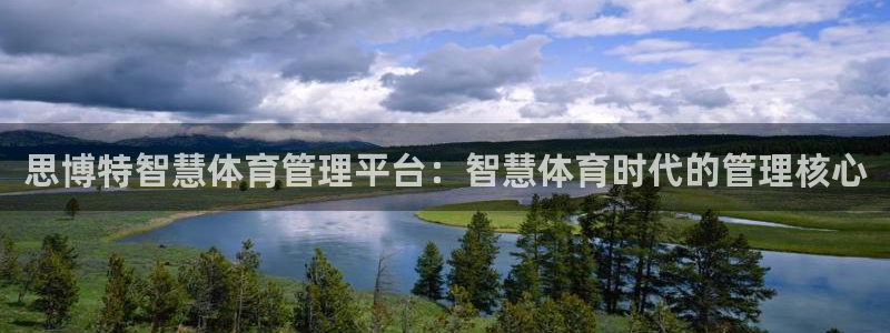必一运动 b 体育素描版