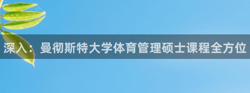 必一体育手机下载：深