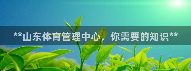 必一体育下载义