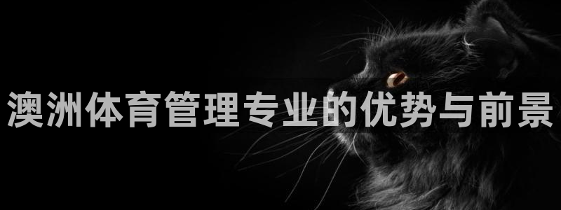 必一体育是啥