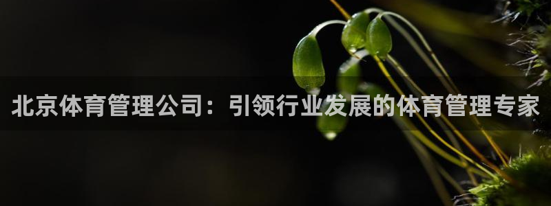 必一体育官网网址：北