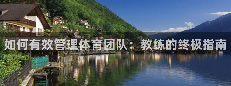 Bsport体育app必一