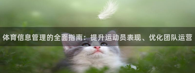 必一体育在线登陆：体