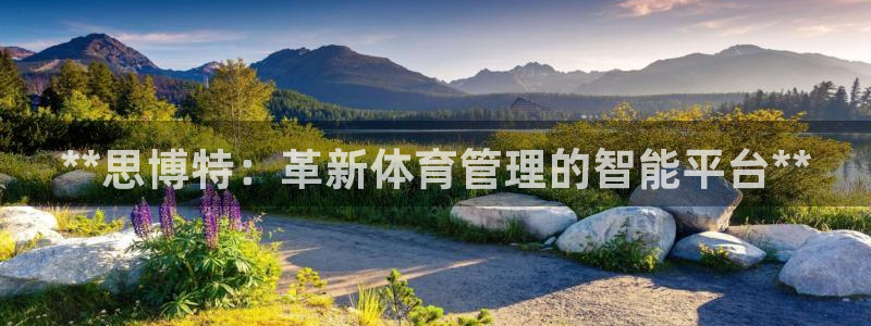 必一体育下载义：**
