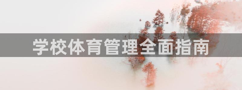 必一体育在线入口