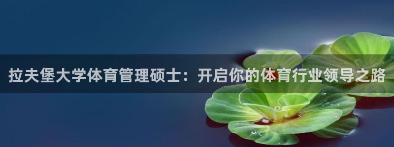 必一体育官方入口：拉