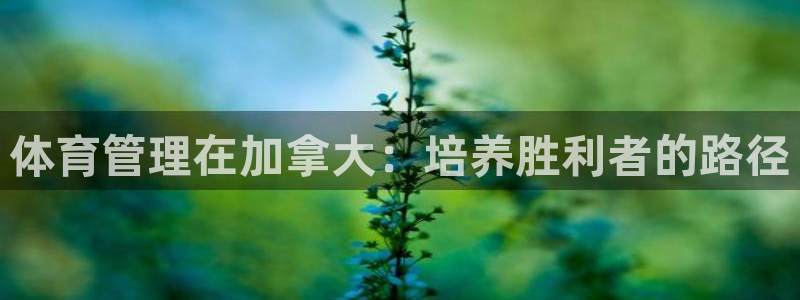必一体育平台