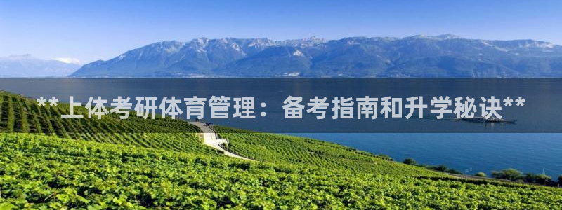 必一体育bsport