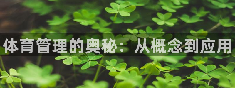 必一体育游戏特色