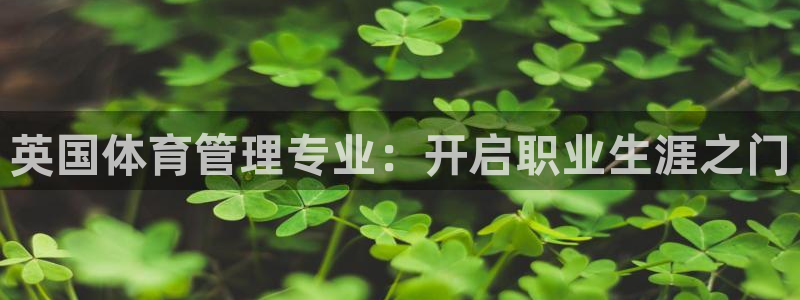 必一体育bsport下载