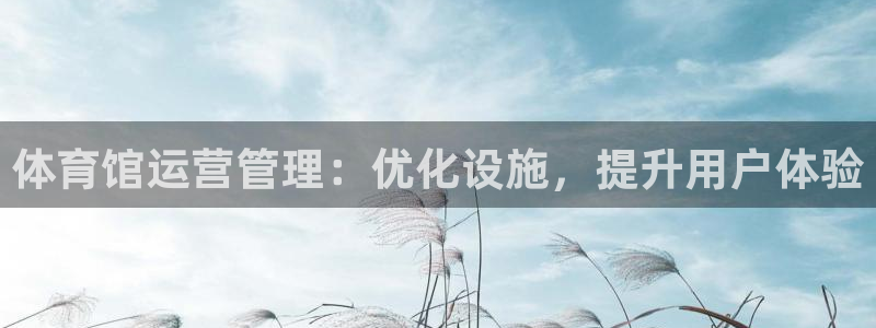 必一体育app下载