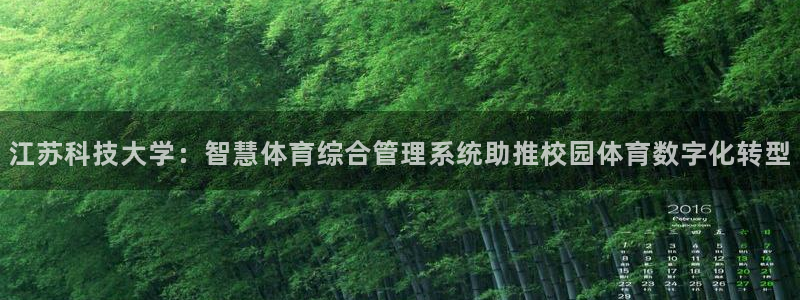 必一体育最新官网入口首页
