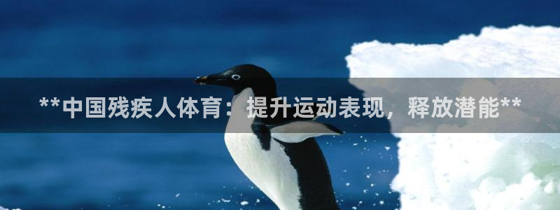 必一体育官网入口：*