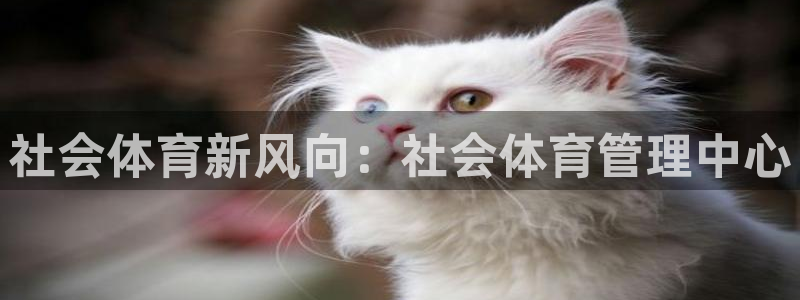 b体育必一下载