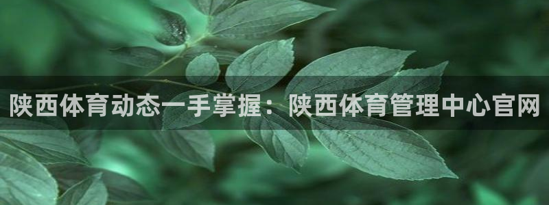 必一体育登录：陕西体