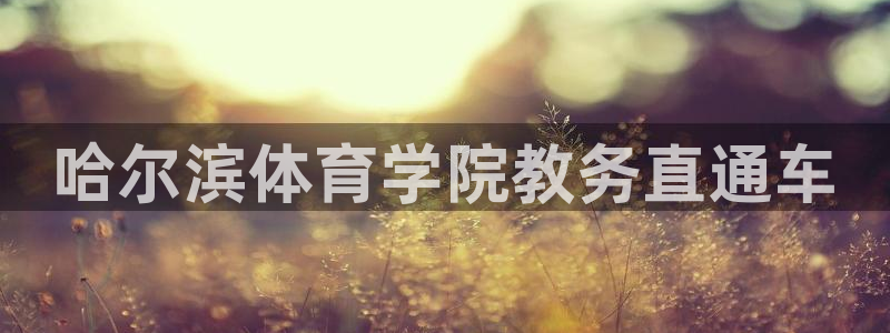 必一体育bsport