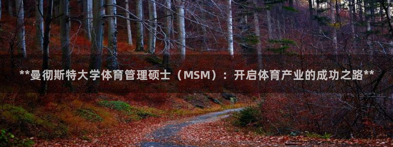 必一运动体育app：