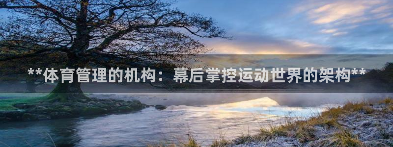 必一体育登入