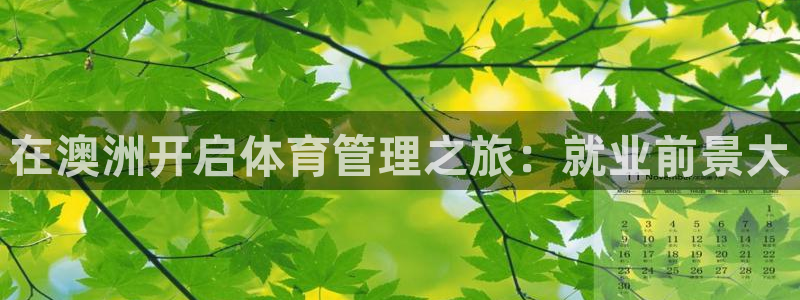 必一体育sport网页版