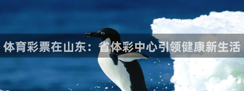 必一体育sport装机吧
