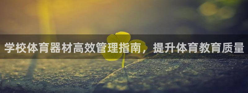 必一体育服下载最新版