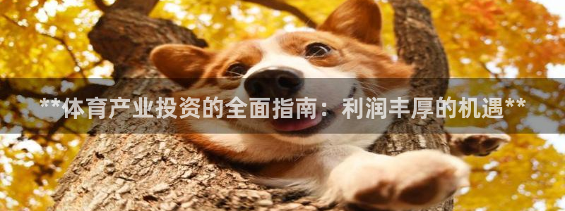 必一运动官网入口：*