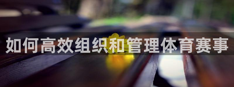 必一运动体育官网