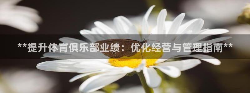 必一运动体育官网下载