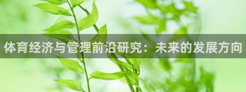 必一体育sport官