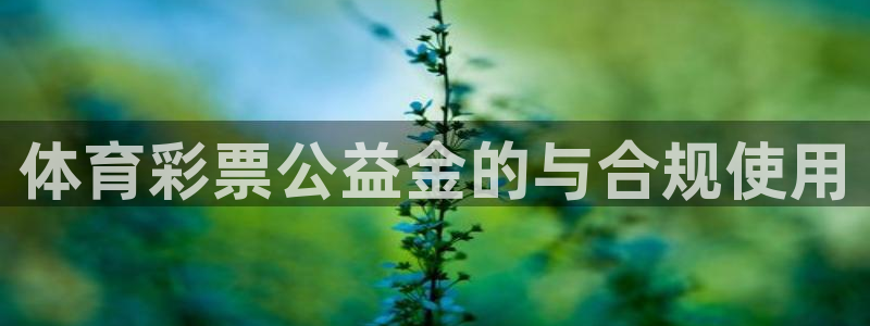必一体育电子app：