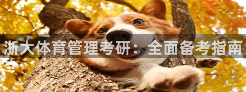必一体育网页版登录：