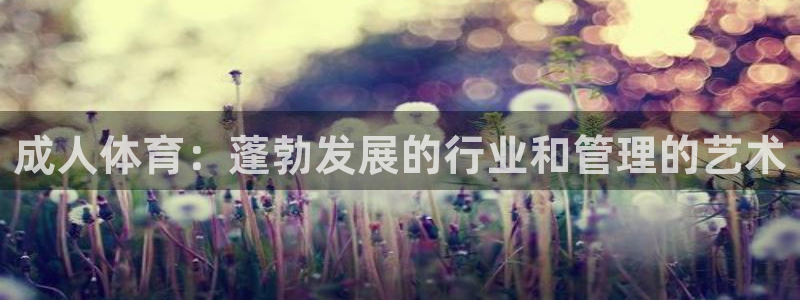 必一体育登陆：成人体