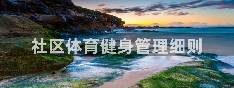 必一体育官方入口：社