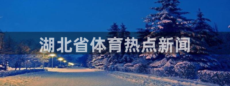 必一体育app下载最新版本