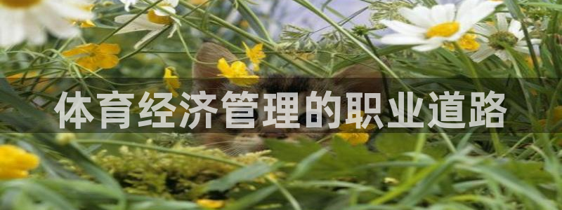 必一运动听的歌：体育
