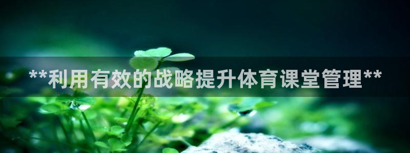 必一体育怎么下载：*