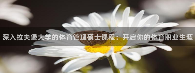 必一体育sport：