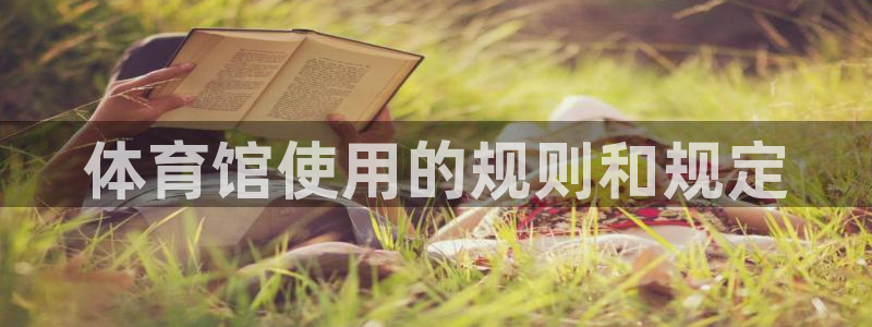 必一体育在线官网