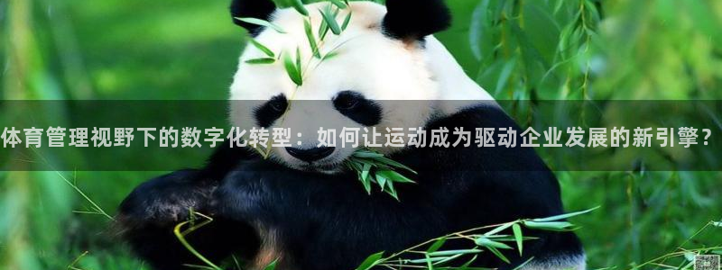 必一体育官方下载入口