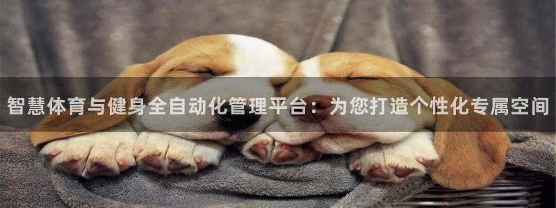 必一体育下载app下