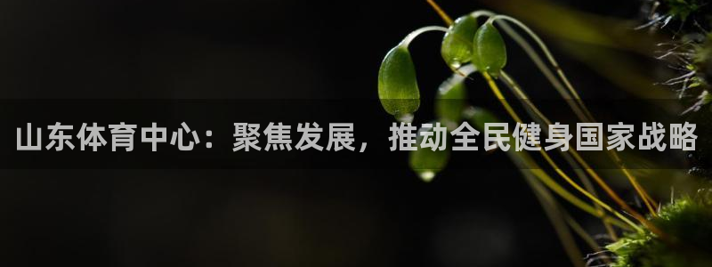 必一体育官网ios下