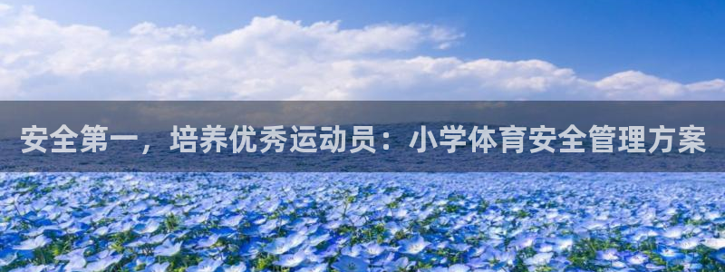 必一体育服下载最新版