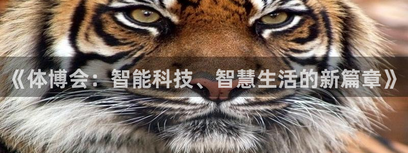 必一体育官方下载入口