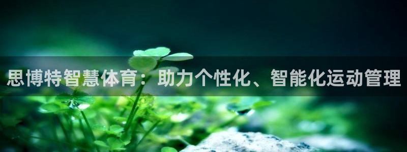 必一运动bsport体育app下载：思博特智慧体育：助力个性