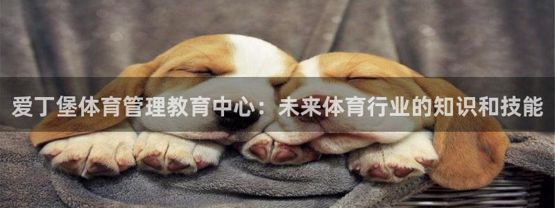 必一体育网页登陆：爱
