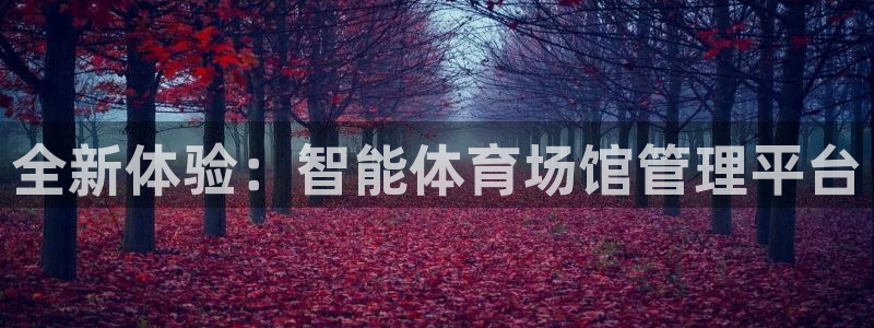 必一体育黑平台：全新